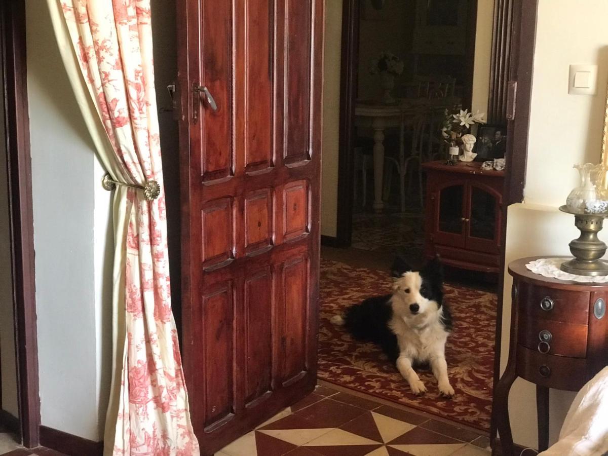 Casa Rural Con Encanto Senorio Manchego Albacete يستي المظهر الخارجي الصورة